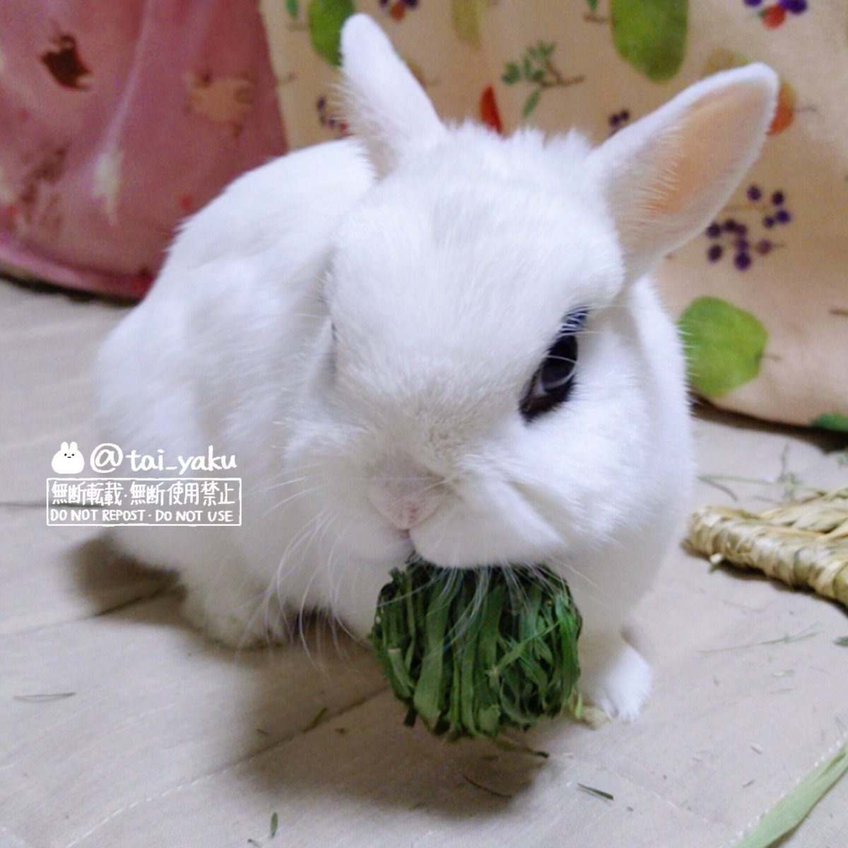 AZANINA (@RS_AZANINA) / Posts / X