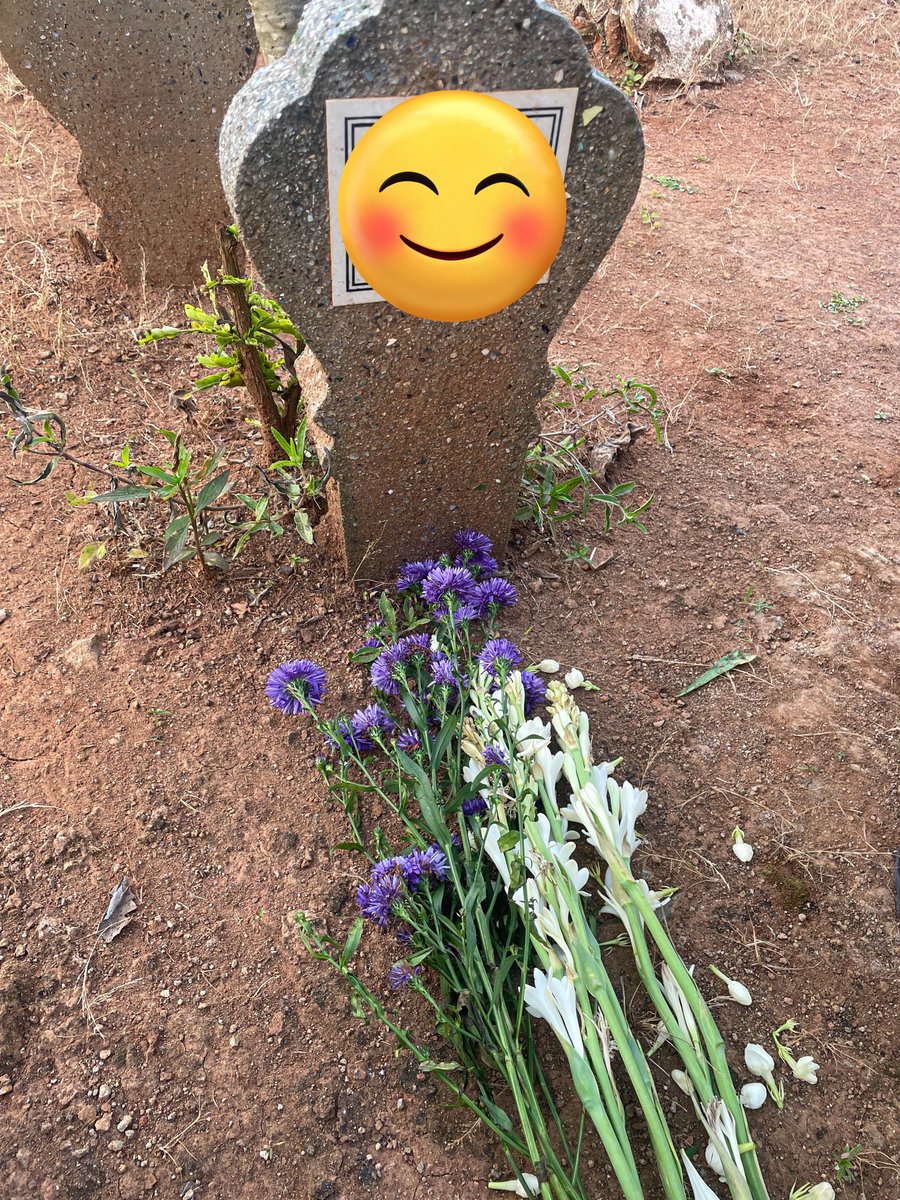 Aku tadi habis ketemu ibukku yang cantik, sama ku bawain bunga juga 🥰🪻💐