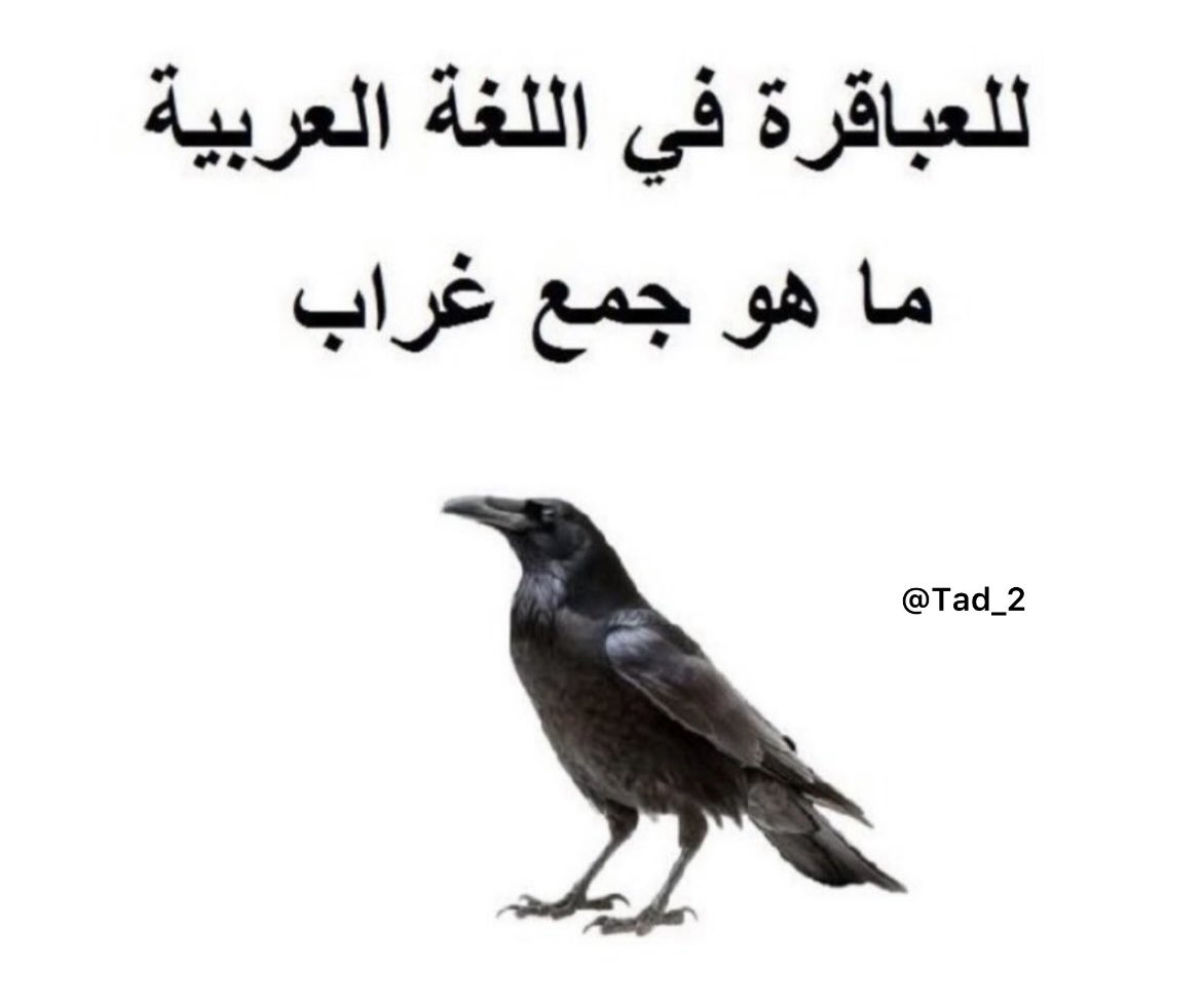 ادفع ثروتي كلها اللي في البنك اذا أحد عرف
 جمع غراب ؟ 🗯️🗯️