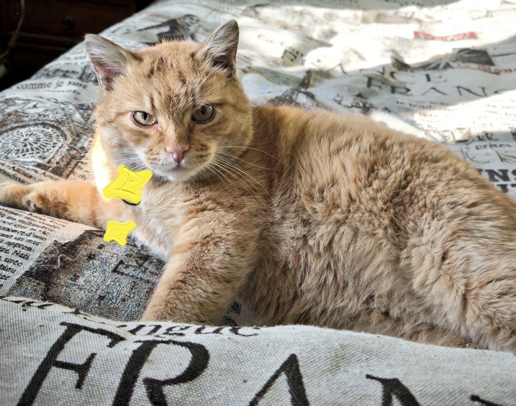 Я забыла вчера заехать в один магазин и завтра придется пополнить ряды тех сумасшедших, которые в мыле толпятся 31го.  Причем,  мои покупки не связаны с НГ😔