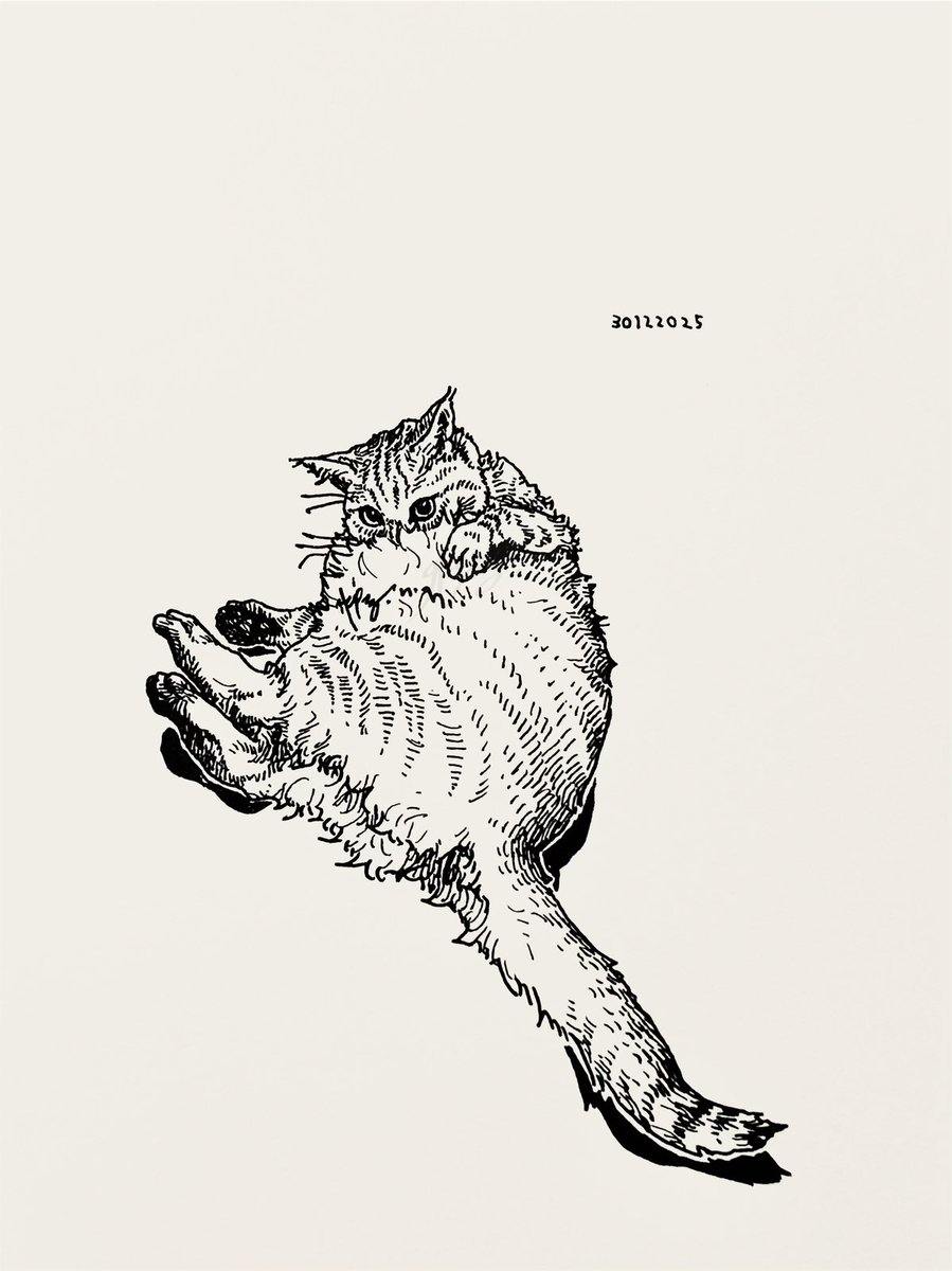 くまつな⭐︎ ツナクマ (@kuma_tuna) / Posts / X