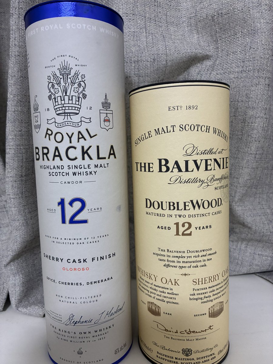 Wildkatze tweet media