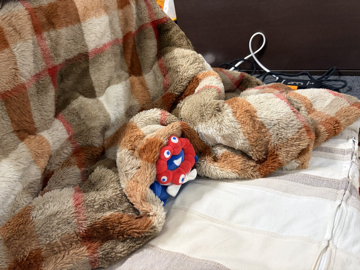 これが、こたつ.！