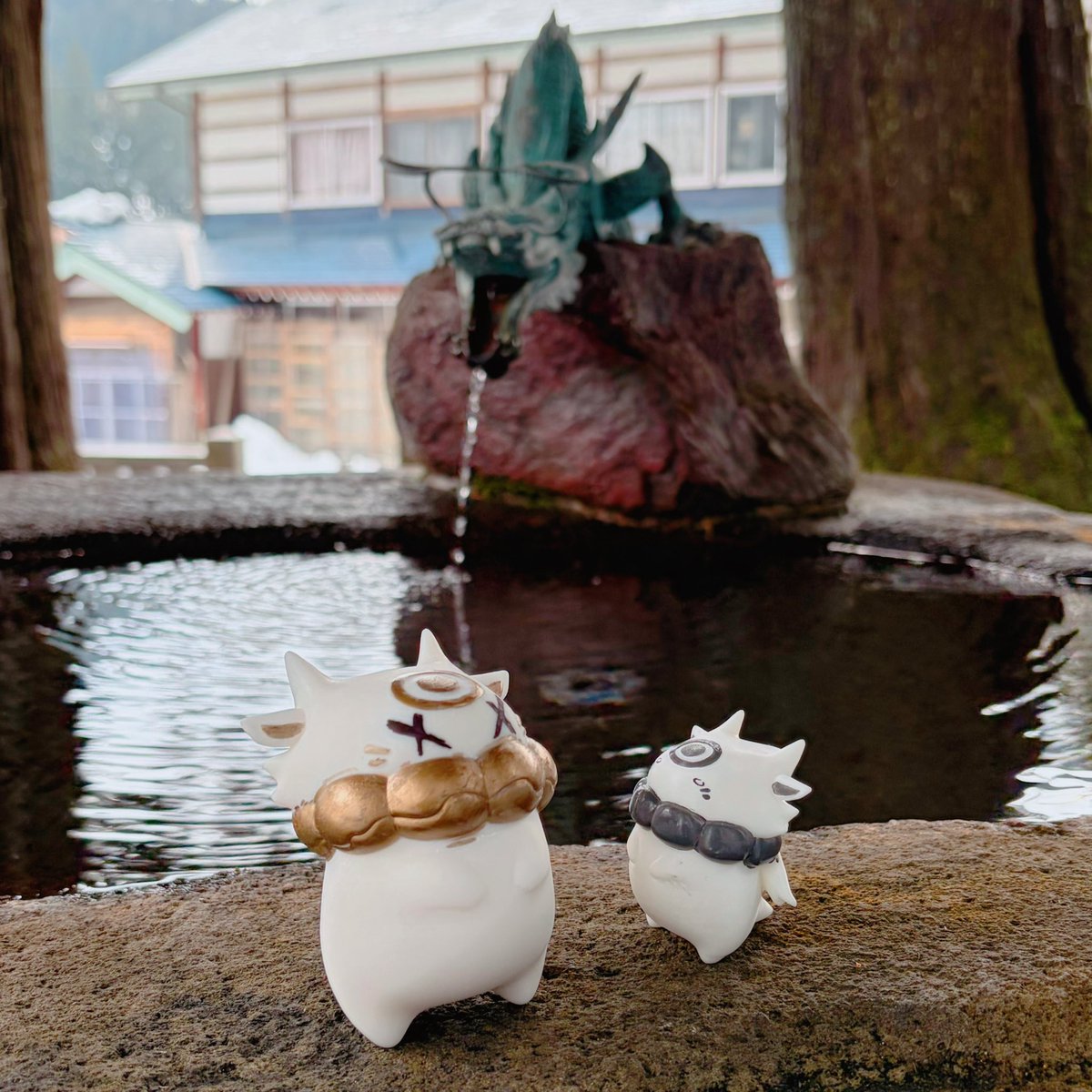 more-cats (@morecats4) / Posts / X