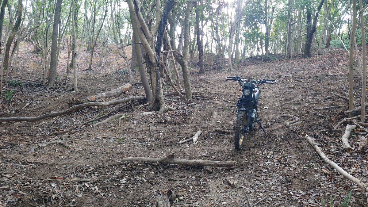 Cat_parallel's tweet image. 明日は何台会うのやら・・・

明日で走り納め！🥹