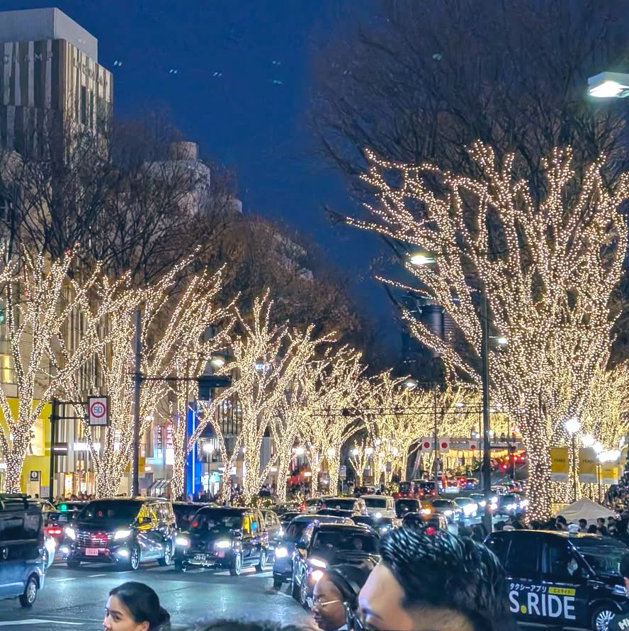 globalculturz's tweet photo. 仕事納め後もこの数日間は外出しまくりで忙しかったッス😅💦

お初のディズニーランドはクリスマス明けとはいえ、
2時間待ち💦とか込み込みだったけど、
アトラクション7つ楽しめて
あとはパレード、花火観たり、

いよいよ、早いもので歳の瀬
皆さん、よいお年を〰️！！🖐️😆 https://t.co/dhHUuvgqeS