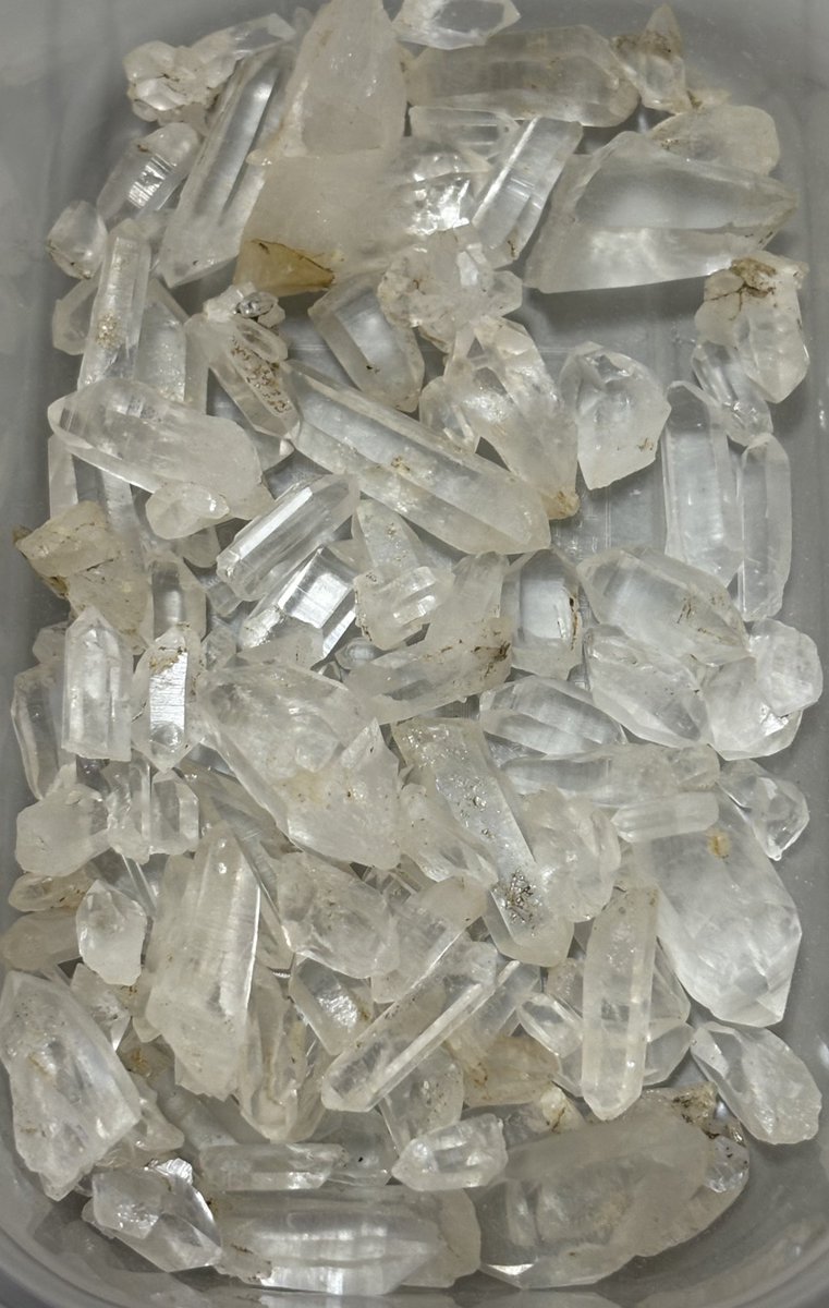 Al2o3_pinkruby's tweet image. 我が家鉱山
岩手県陸前高田市　玉山金山
キラキラ輝くミニサイズ達
夏場にお邪魔したので
アブが沢山いました