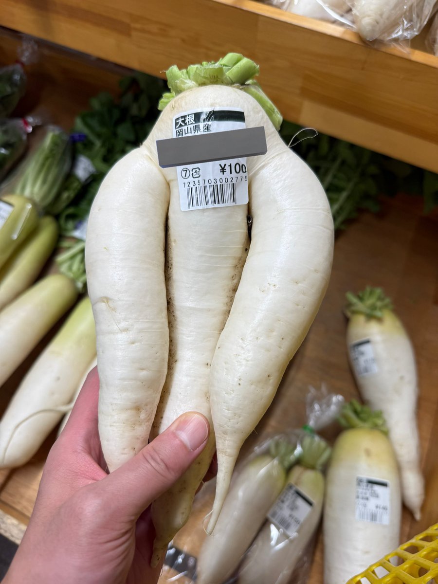 野菜ソムリエHiro🇨🇦🌈 (@hiro_vegetable) / Posts / X