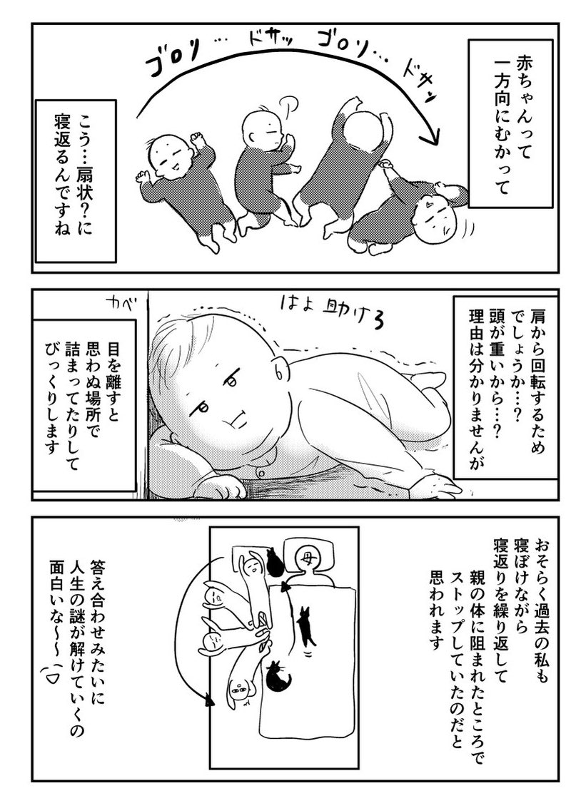 育児日記
朝起きたら子が刺さってる理由