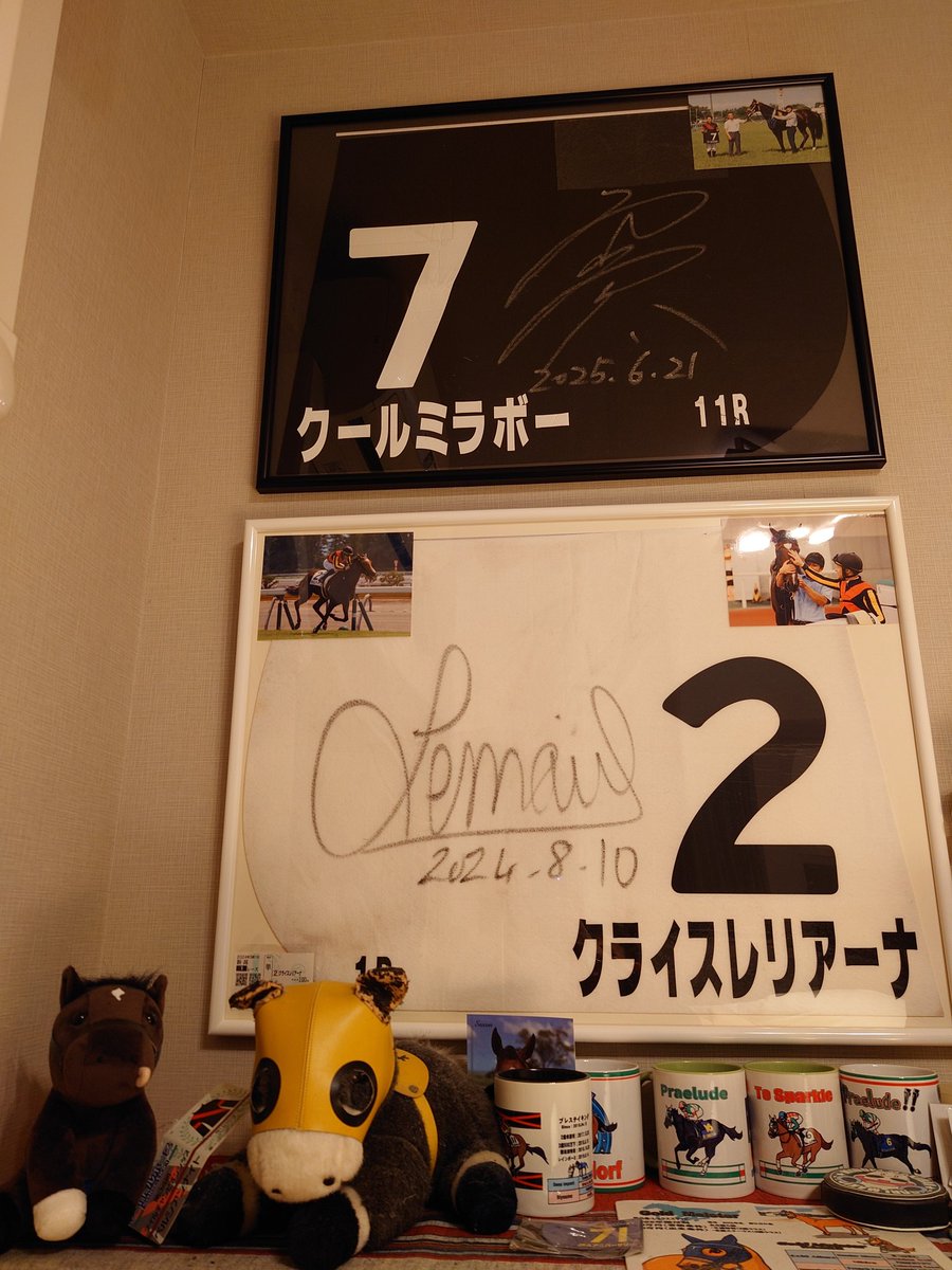 ベリーファイン　ラジオ福島賞優勝サイン入りゼッケン ベリーファイン ラジオ福島賞優勝サイン入りゼッケン 【公式通販】