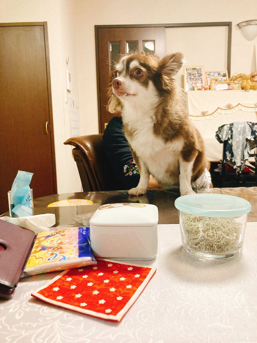 うわばみ tweet media