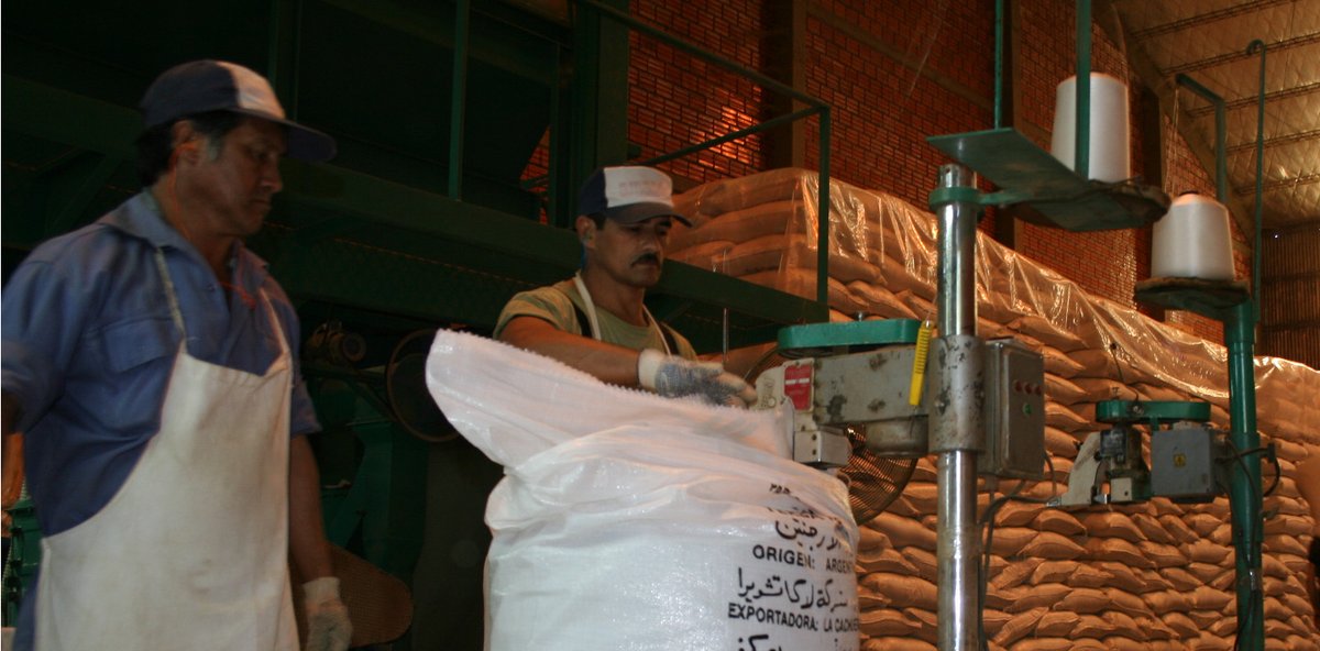 Las exportaciones siguen marcando un récord histórico y el mercado interno continúa en franca recuperación
inym.org.ar/noticias/estad…