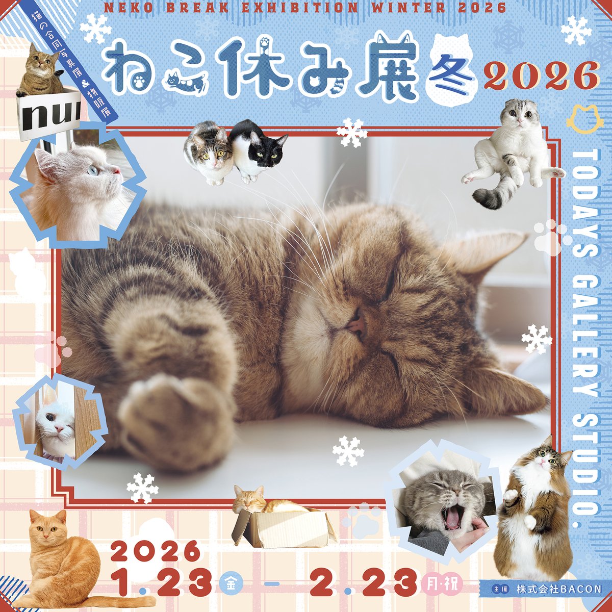 🐾【次回開催のお知らせ】
【次回開催】
#ねこ休み展 冬 2026が東京にて開催‼︎
人気猫クリエイターが集結する
猫の写真展示＆グッズ販売イベント🐱
癒しの“ねこ時間”をお楽しみください。

📍TGS.東京(1/23(金)〜)
📎 tgs.jp.net/event/neko-bre…
#猫イベント #東京イベント