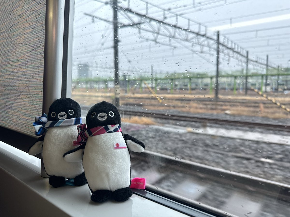 まめすけ 豆助＠12/30西ね-06a (@ma_me_su_ke) / Posts / X