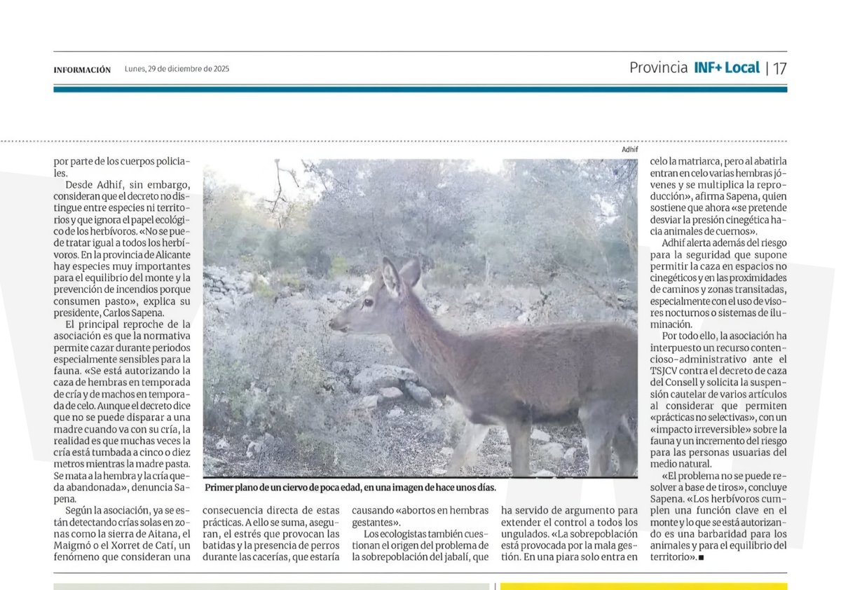 Prosperará el recurso 😂