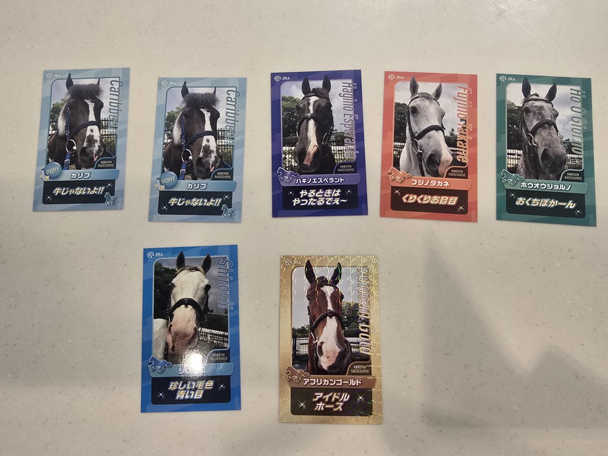 阪神競馬場の誘導馬トレカこんだけ集まった！