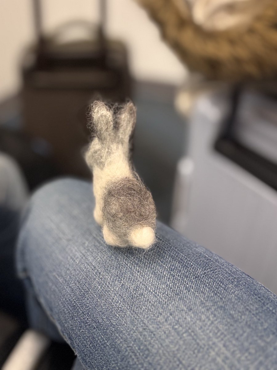 tiny_charm's tweet image. I couldn’t sleep during my red-eye so I felted this small bunny.