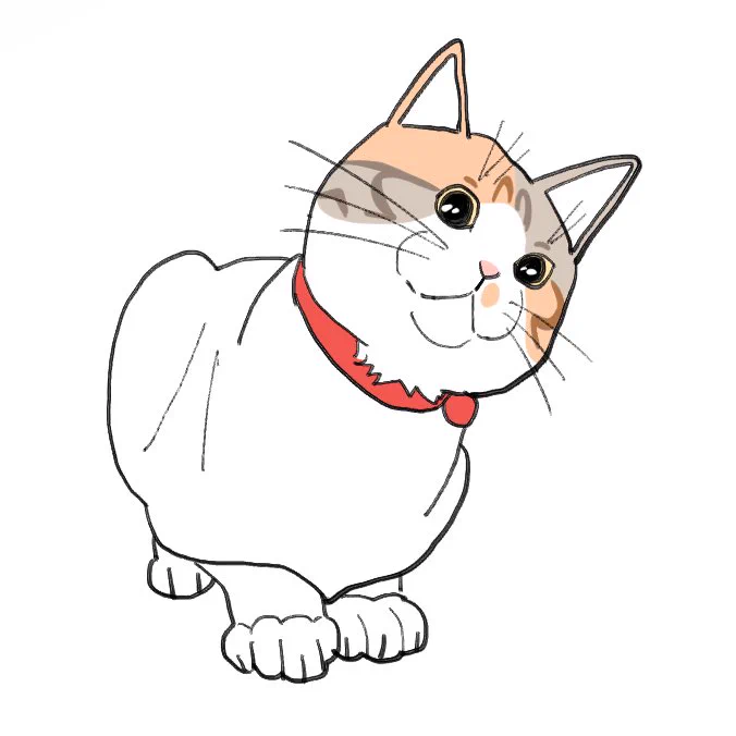 ねこラッちゃん