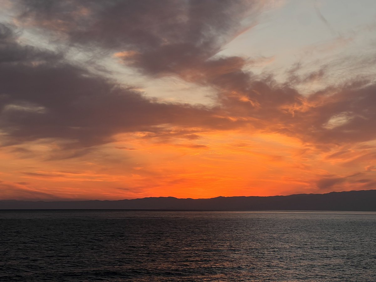 プルーンprune【ラキ珍】 tweet media