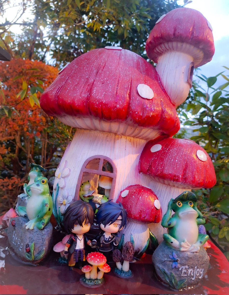 きのこ様 予約販売：2026年1月～2月中 お届け予定】<単品販売・先行予約特価>未