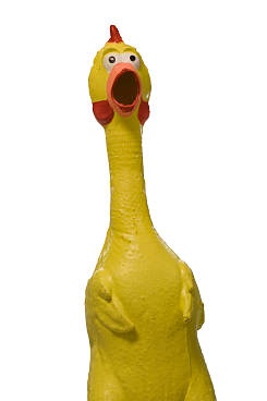 Why does he always remind me of this