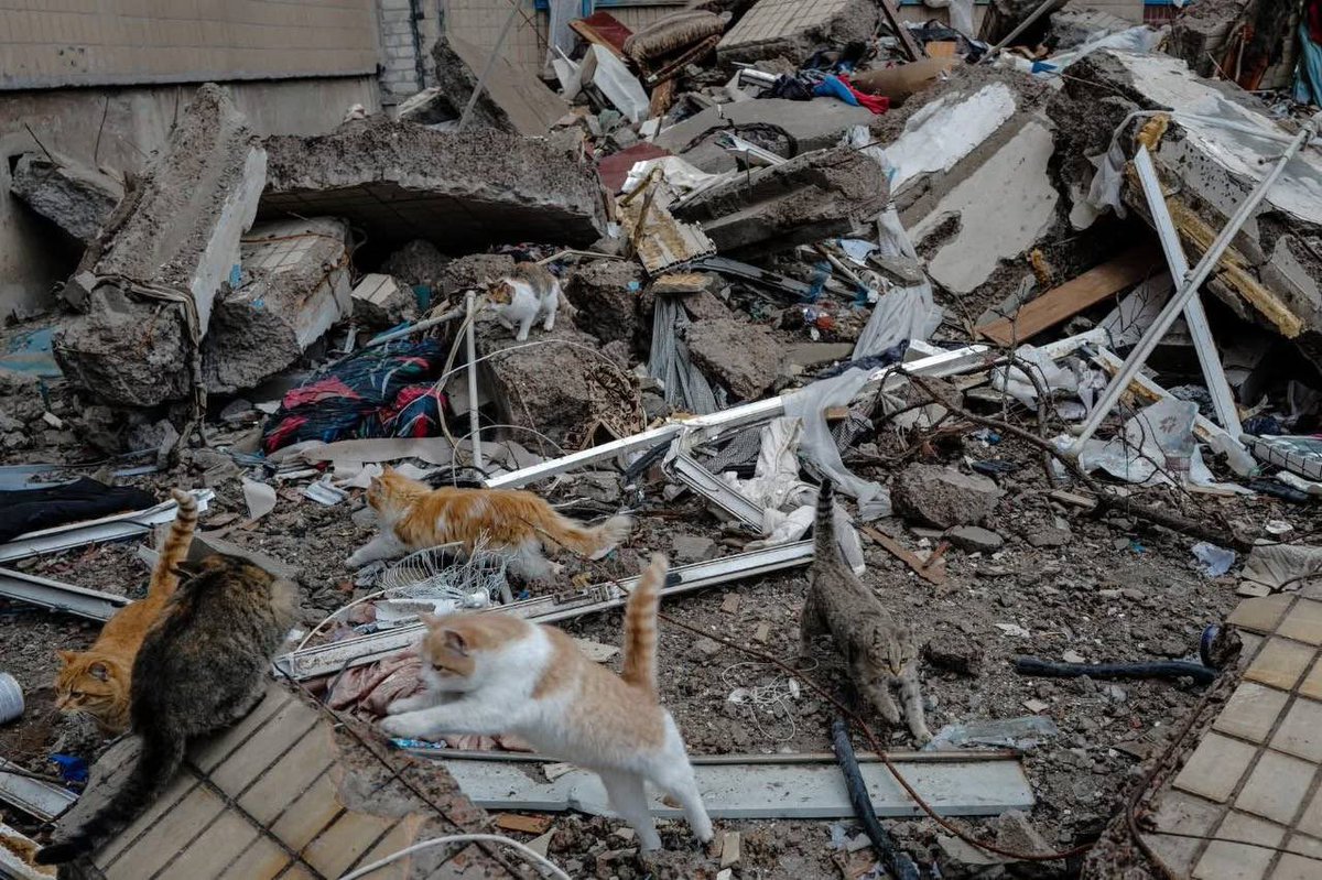 Так зараз виглядає Костянтинівка. Місто стає примарою. 
Хоча ще не так давно в ньому кипіло життя. 

Зараз Костянтинівку знищують. В місті місцями вже є росіяни. 
І вони не зупиняться просто так. 
Їх можна зупинити лише силою. 

Із Коснятинівки у нас наразі є 7 запитів на 265