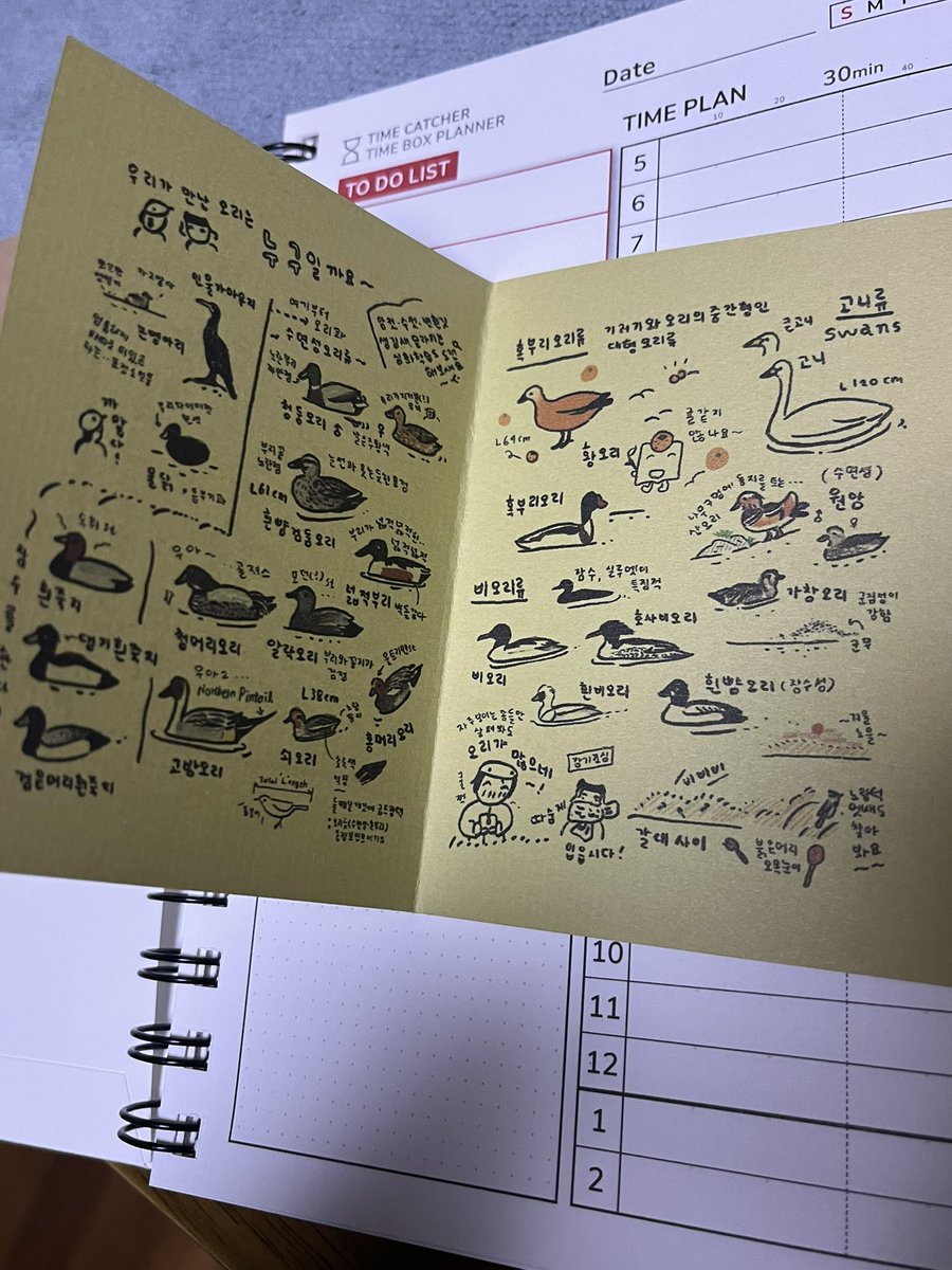 너무 귀여운 새와 함께 포스터…………
무엇을 고민하시나요! 어서 품안으로!!!
지금 사시면 미친 귀여움의 물새 관찰일기도 함께 받을 수 있어요

단점 : 그림 보느라 문 앞에 6시간동안 서있는다 (봉준호감독 짤)