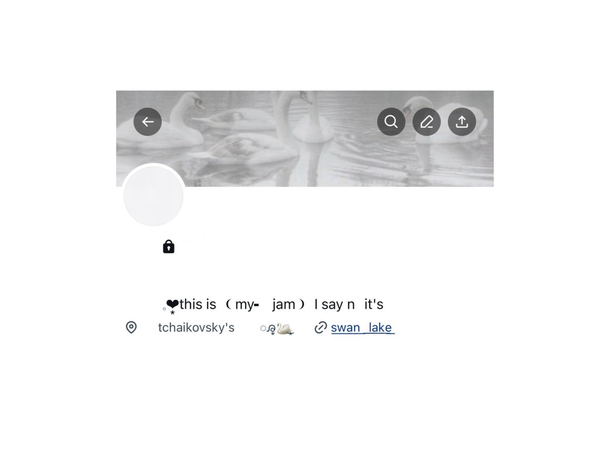 ⠀⠀𓈒🦢 swan lake⠀⠀❤︎
⠀⠀⠀⠀⠀1 people 
⠀⠀❨ form tw ❩ 4 baht