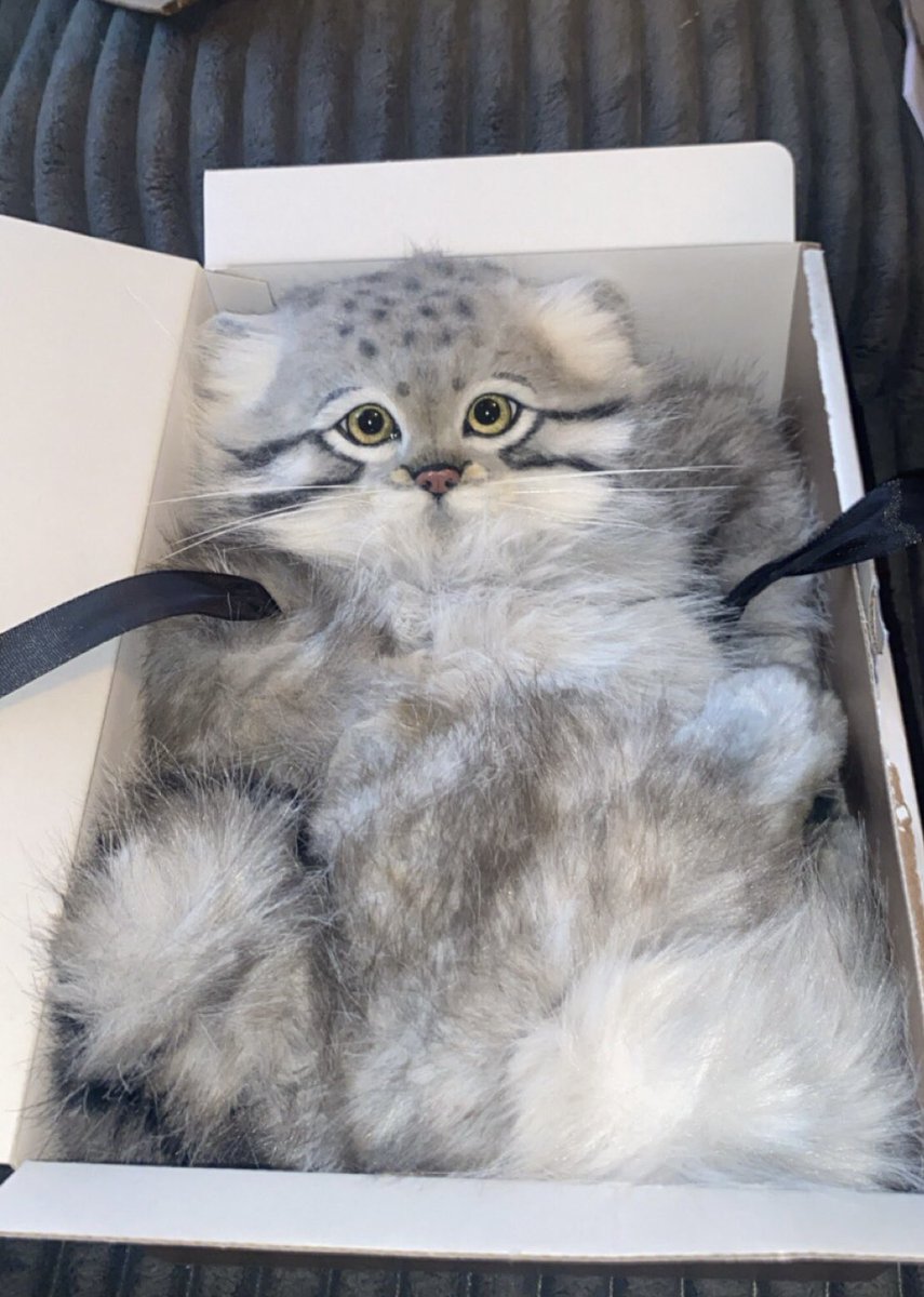 ochamemö ○△□｜おちゃめも (@rik27xxx) / Posts / X