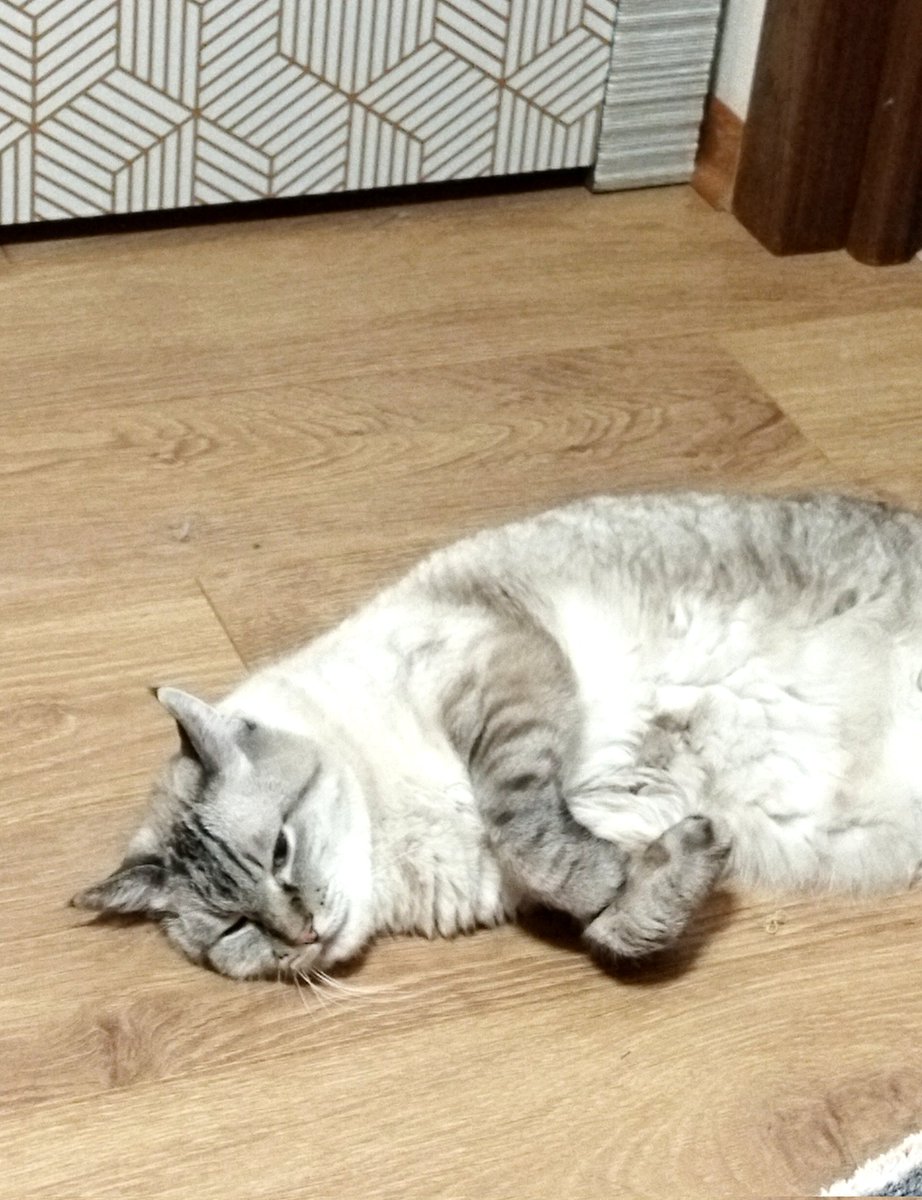 Що жж
Квартиру, в якій я зараз живу, продають
Терміново шукаю нову

Київ, байдуже де
Аби:
- коти (не деруть шпалери, пісяють в лоточки, НЕ ВОНЯЮТЬ)
- газ
- до 11к
- мінімум радянщини

Ті, хто був у мене в гостях/знає мене - бачив, що вдома не воняє і я прибираю

Вдячна за репости