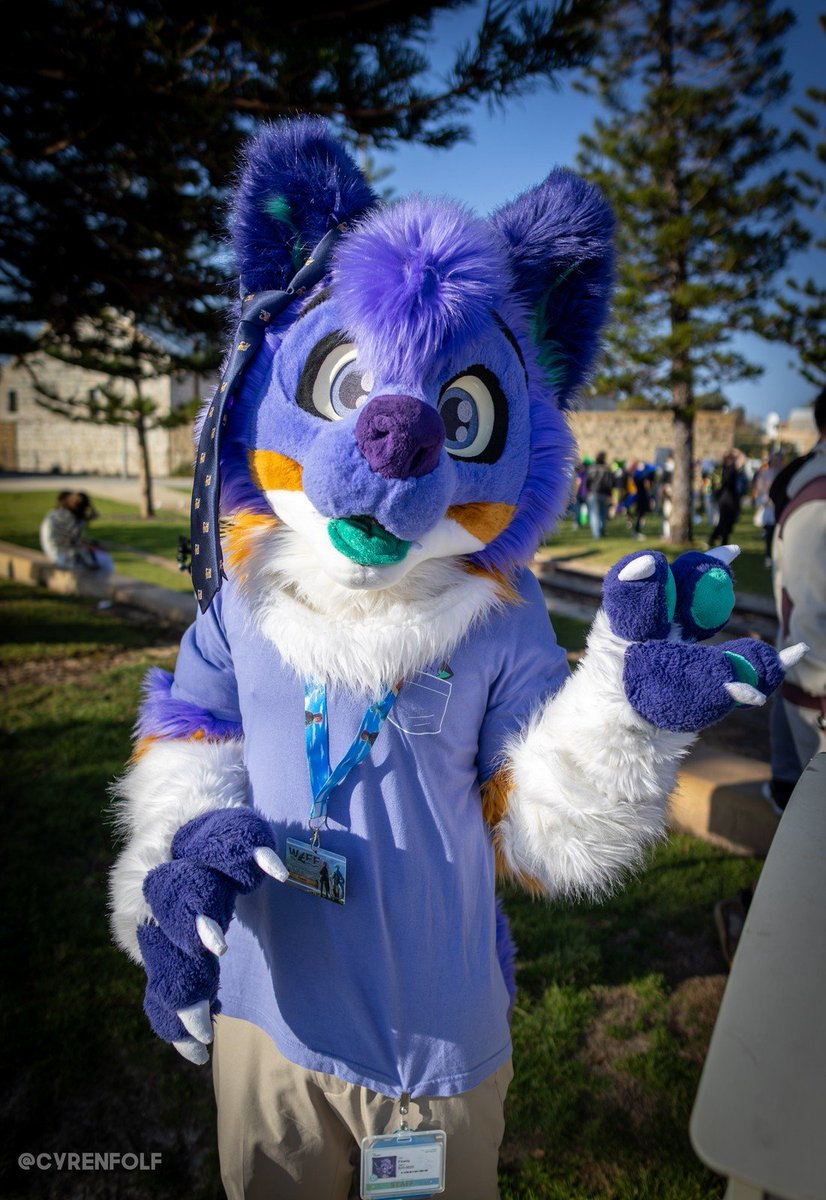 Flowdy 🐶🦺 tweet media