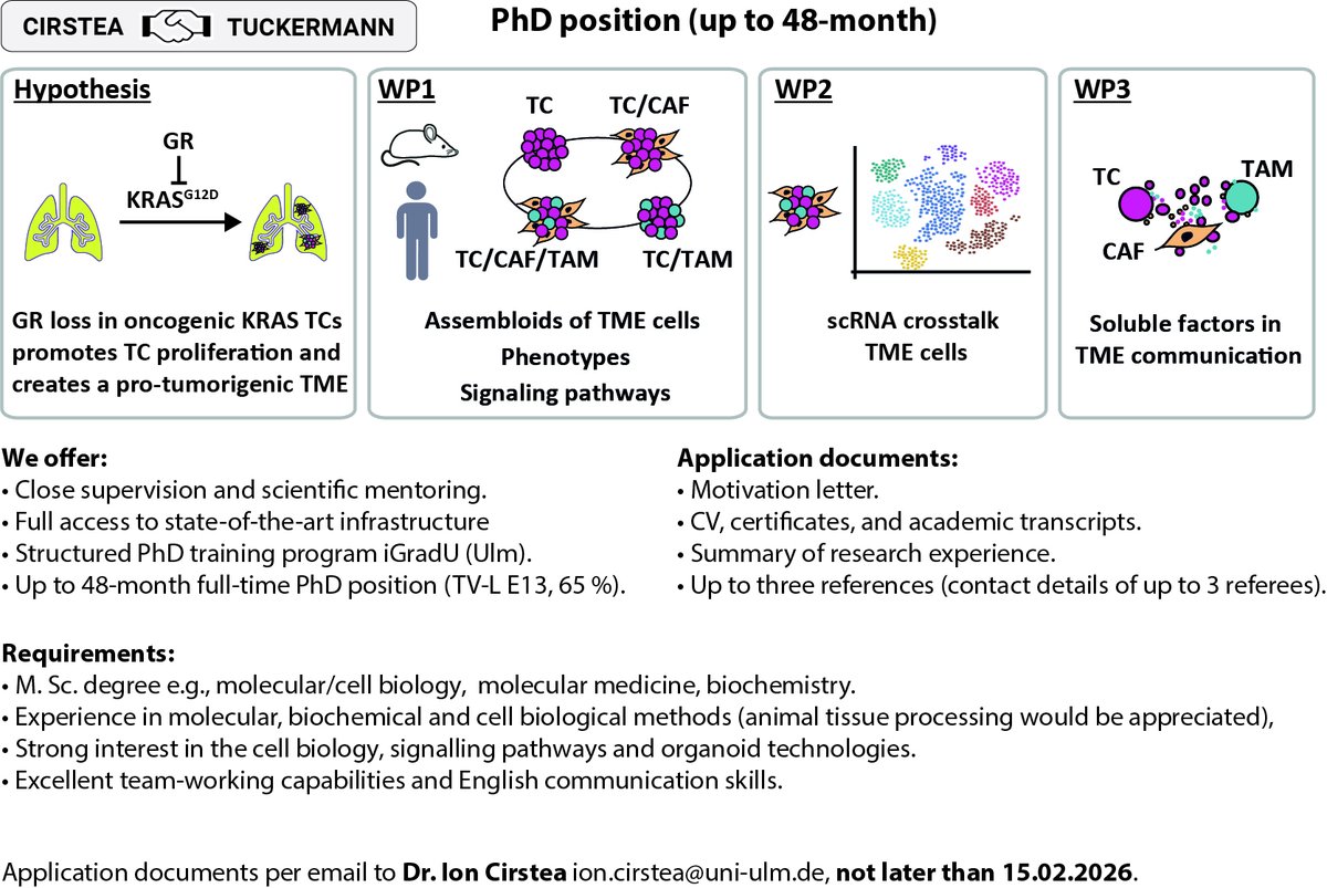 CirsteaLab tweet media