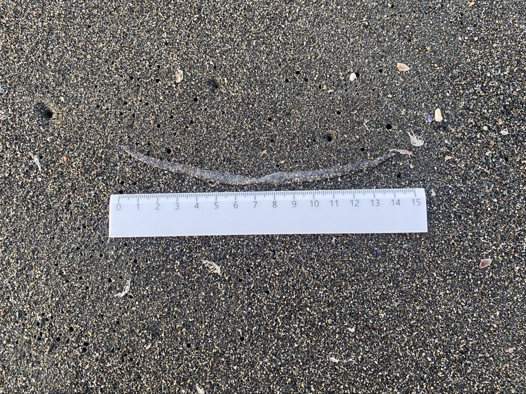 ✵myuuページ✵ みゅう (@myuuu1350) / Posts / X