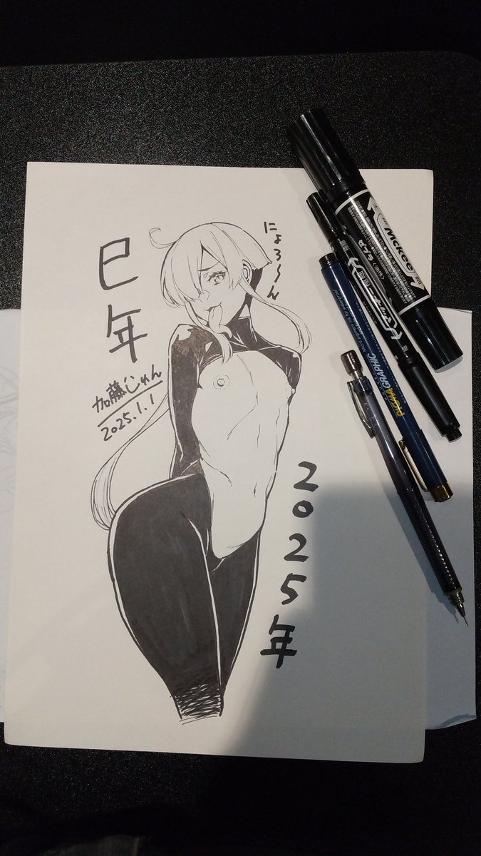 前回(今年元旦)の
干支お絵描きチャレンジの絵(*'∀`*) 