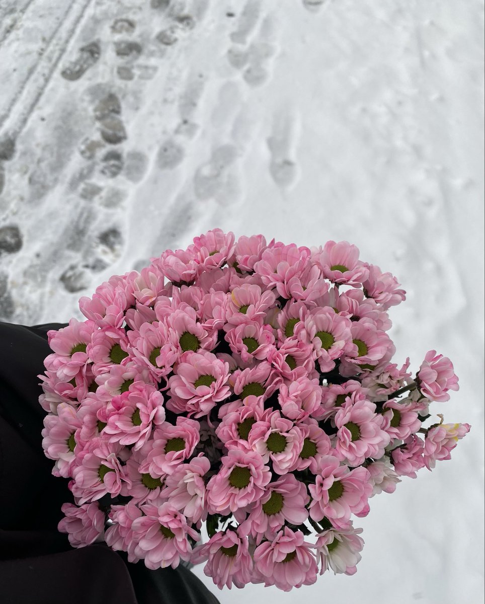 alina’s tweet media