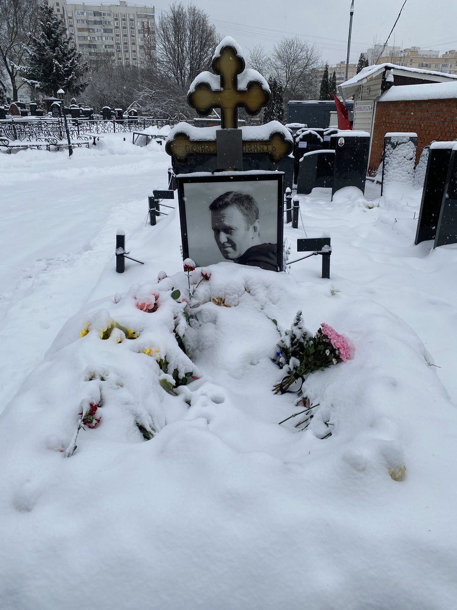 alina’s tweet media