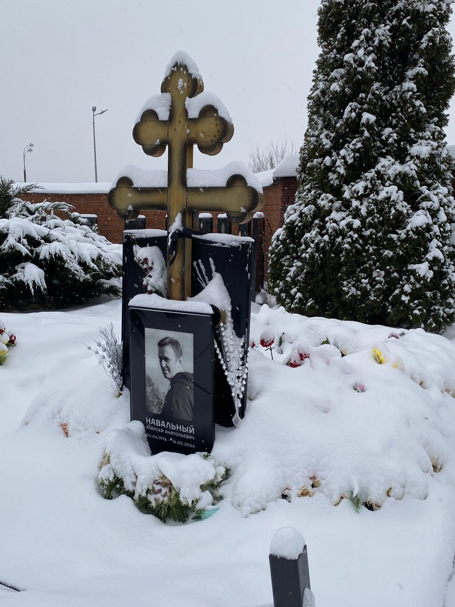 alina’s tweet media