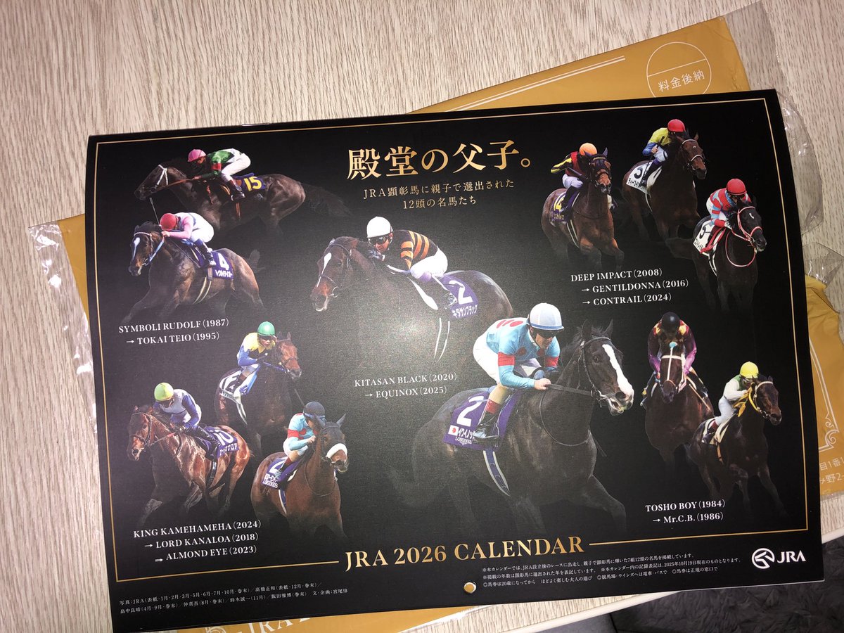 VellShin714's tweet photo. 外れたと思ったら届いてた🐴 https://t.co/gIGcHXKIel