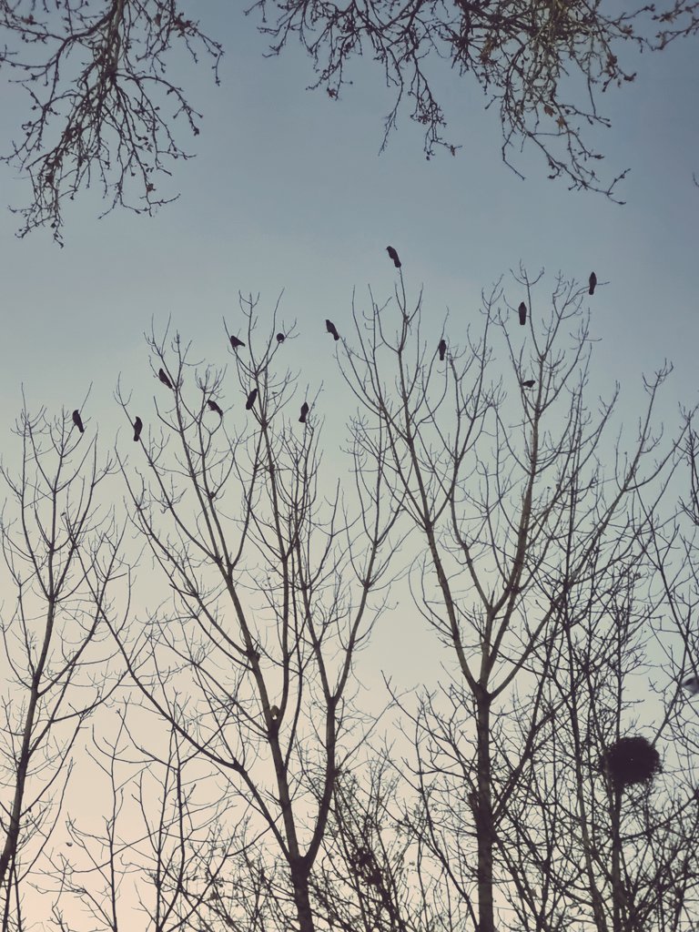 Beh91 (@behdadjalali) on Twitter photo 