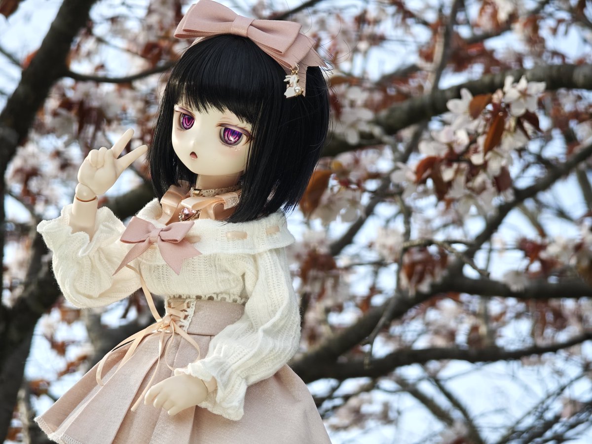 めいぽ工房 ☆Maple☆ (@0vf5861038d3w1m) / Posts / X