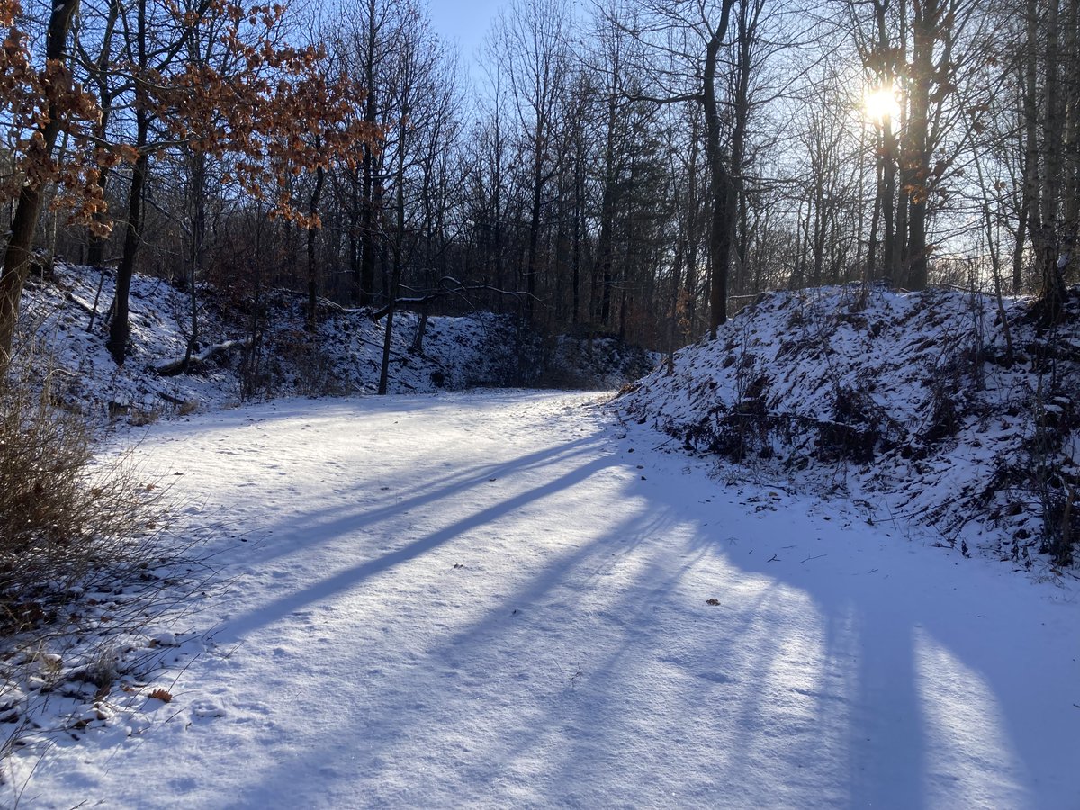 George 🇵🇱 tweet media