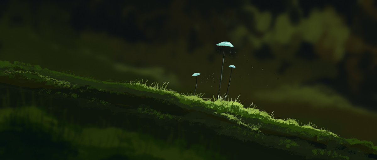 Gracile (@gracile_jp) on Twitter photo 