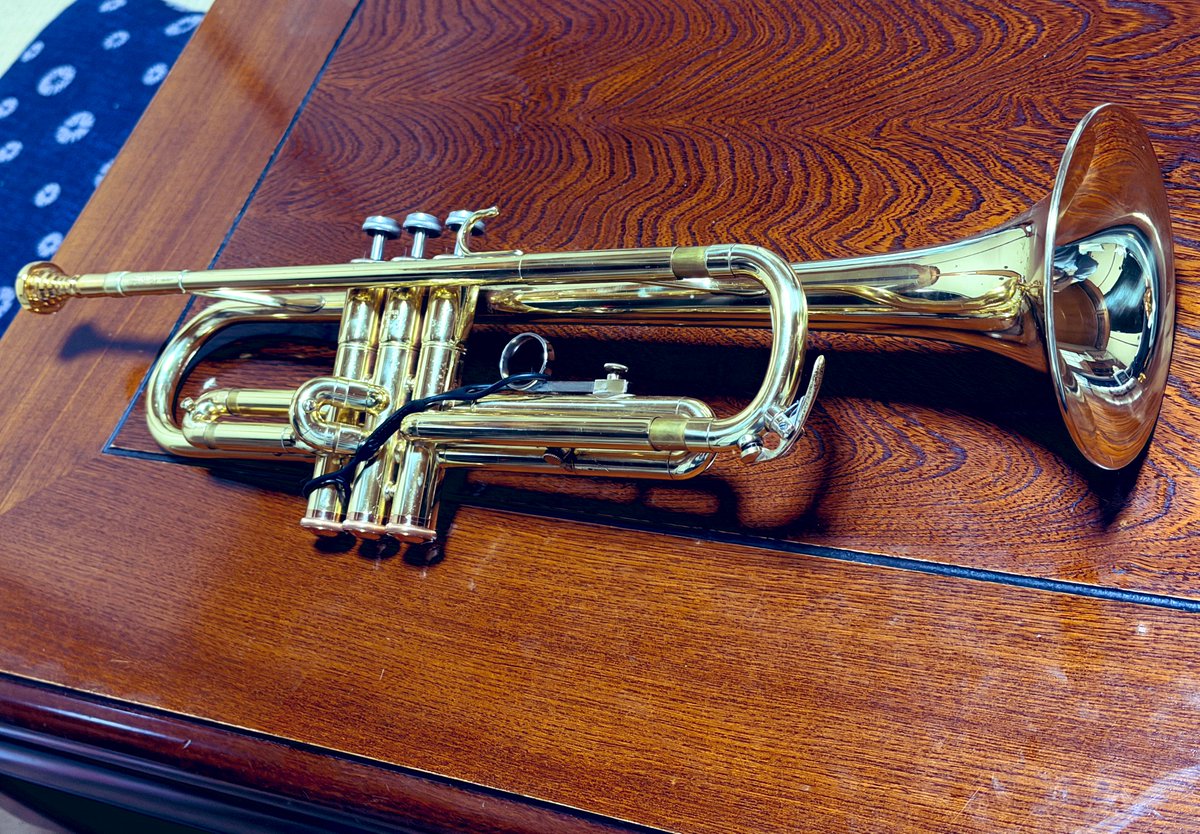 YAMAHA YTR 233 カスタム品 YAMAHA YTR 233 カスタム品