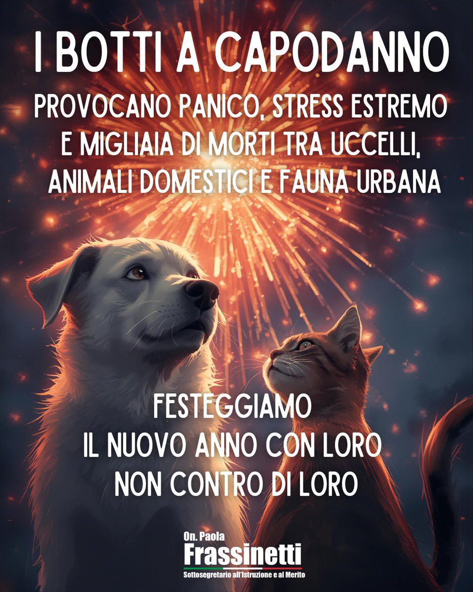 Paola Frassinetti tweet media