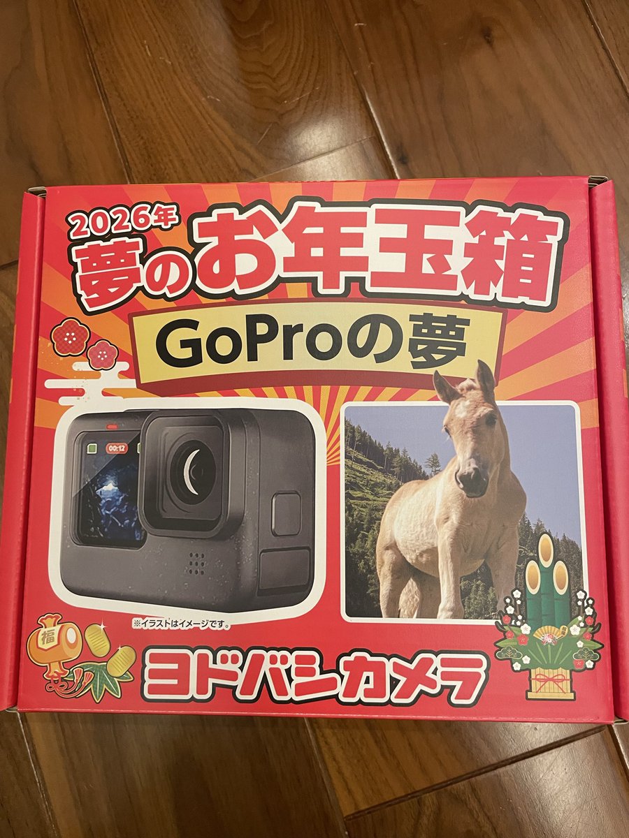 ヨドバシ 福袋 goproの夢 新品