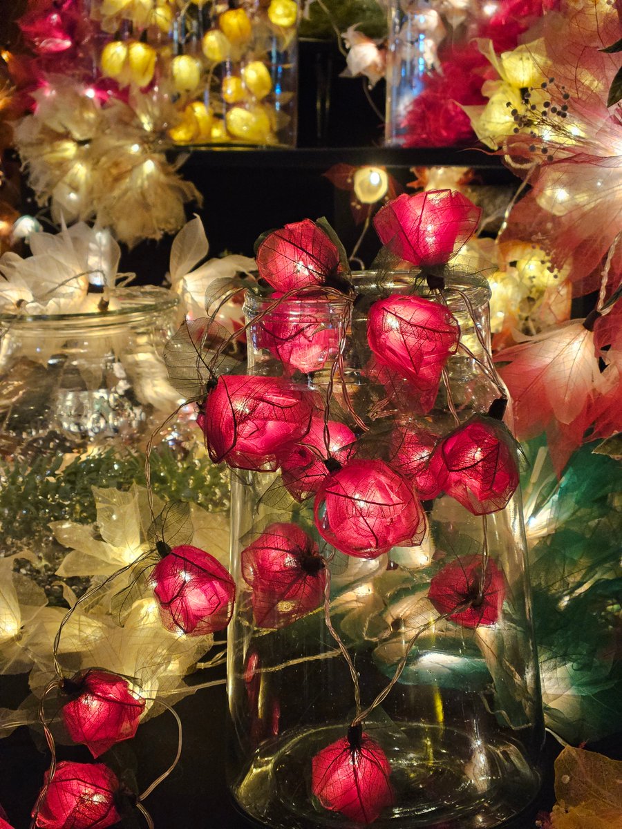 Nemo ❄ tweet media