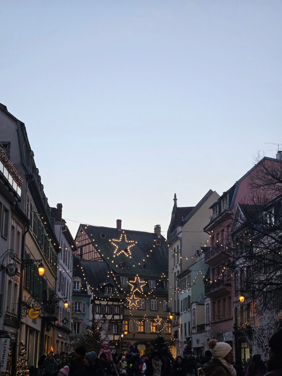 Nemo ❄ tweet media