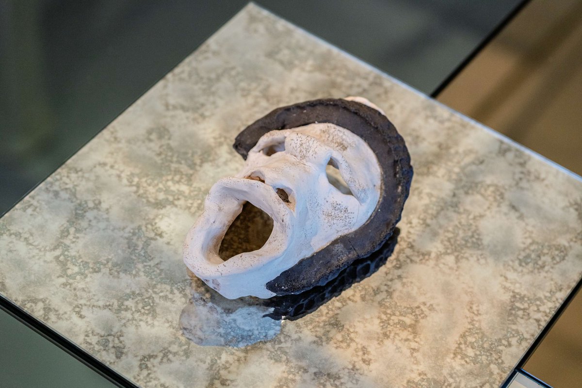 Highlanes Gallery tweet media