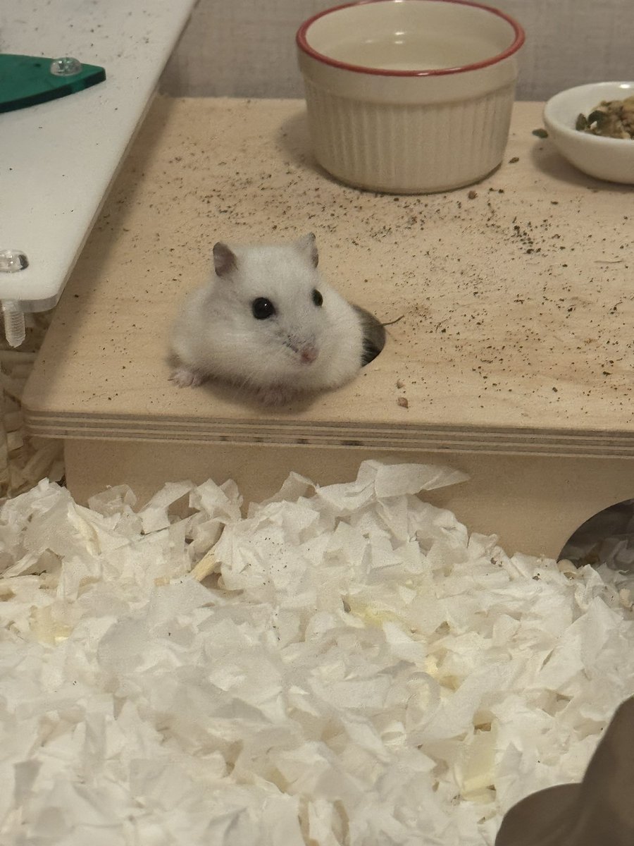 뷁!!!!! tweet media