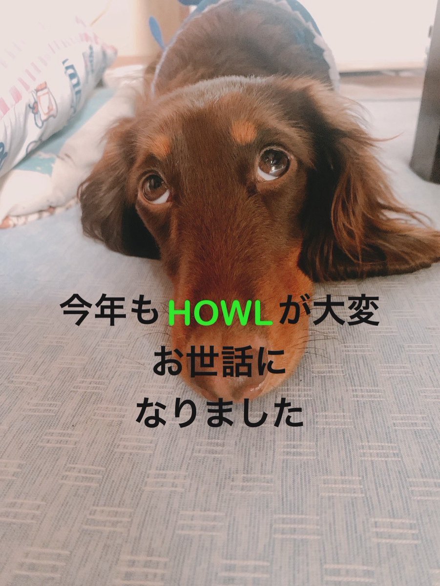 Howlrelaxation's tweet photo. 今年もHOWLをご利用くださりありがとうございました✨️
来年は1/10からの営業を予定しております🪴皆様良いお年を(≧∇≦)b https://t.co/Wz61YYDPAq